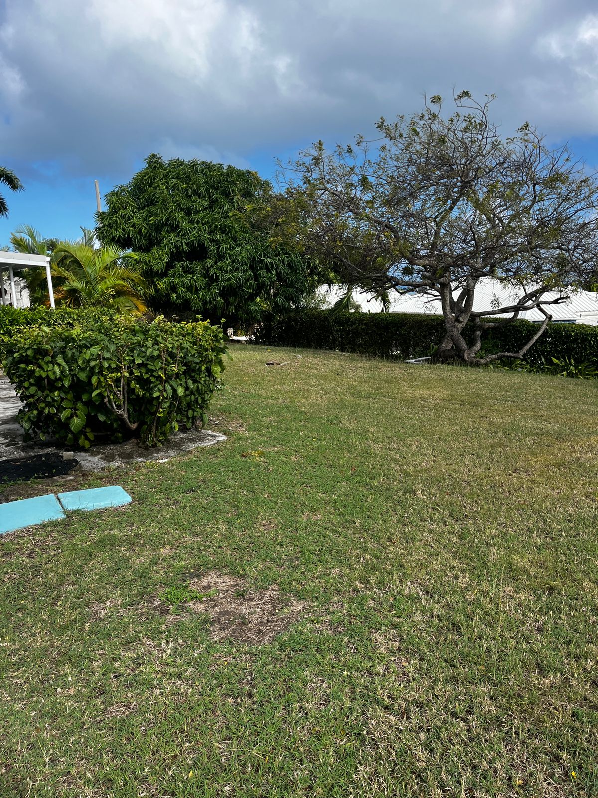 Sapodilla House – Crosbies