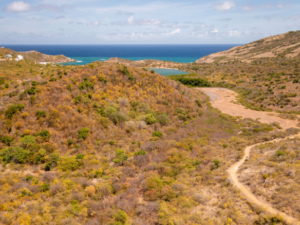 1.72 Acres of Land for Sale – Piccadilly South East, St. Paul