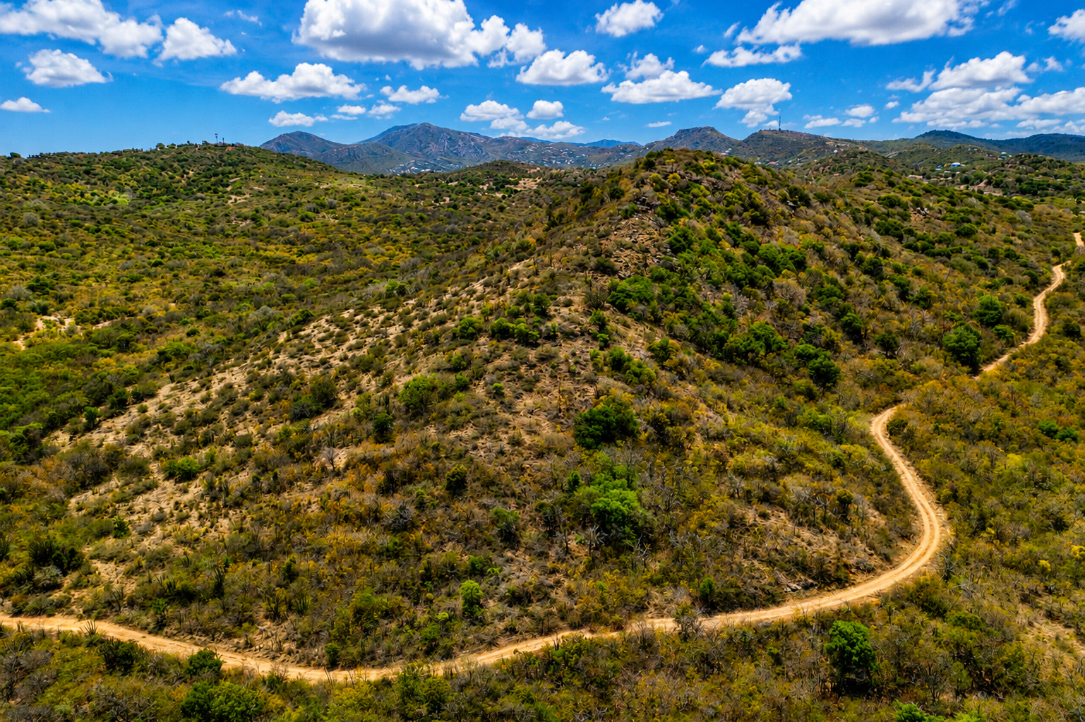 Picadilly Land 03 Prime Land – Piccadilly, Antigua
