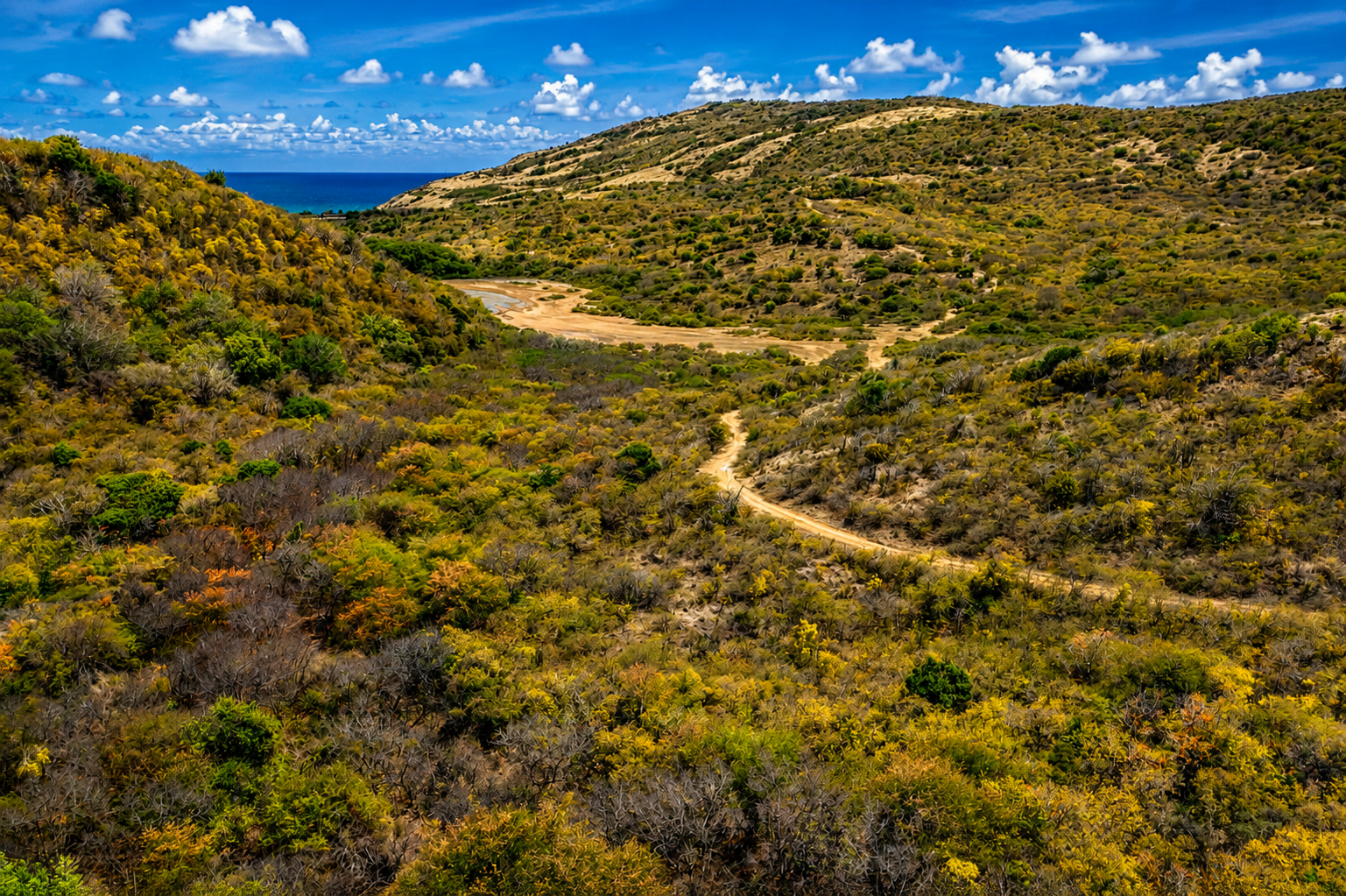 Picadilly Land 05 Prime Land – Piccadilly, Antigua